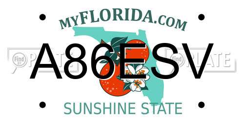 A86ESV Florida License Plate