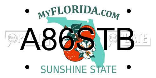 A86STB Florida License Plate