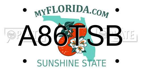 A86TSB Florida License Plate