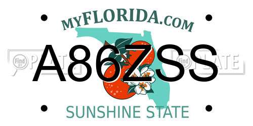 A86ZSS Florida License Plate