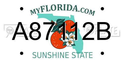 A87112B Florida License Plate