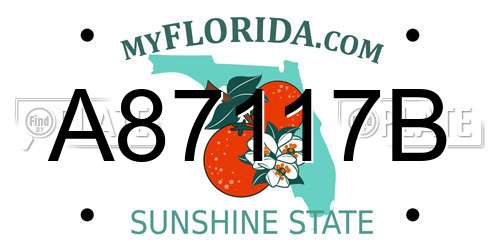 A87117B Florida License Plate