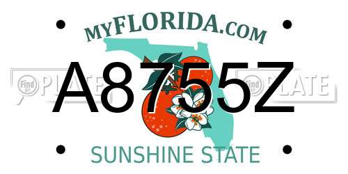 A8755Z Florida License Plate