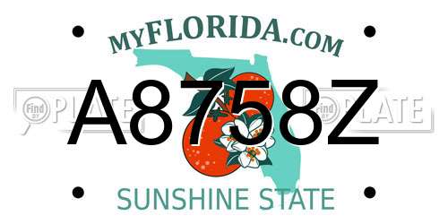 A8758Z Florida License Plate