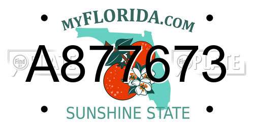 A877673 Florida License Plate