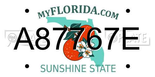 A87767E Florida License Plate