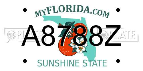 A8788Z Florida License Plate