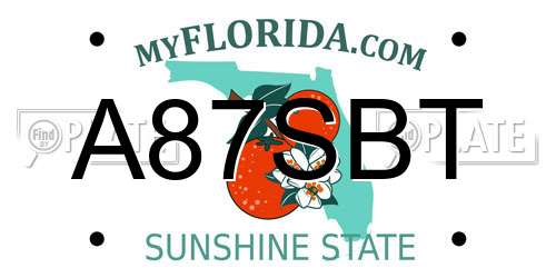 A87SBT Florida License Plate