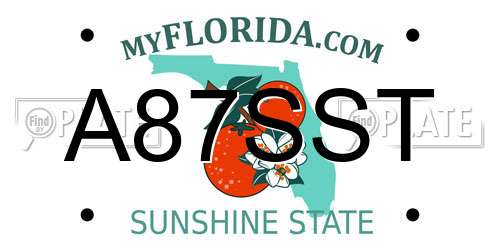 A87SST Florida License Plate