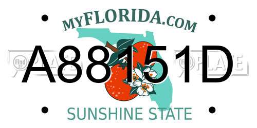 A88151D Florida License Plate