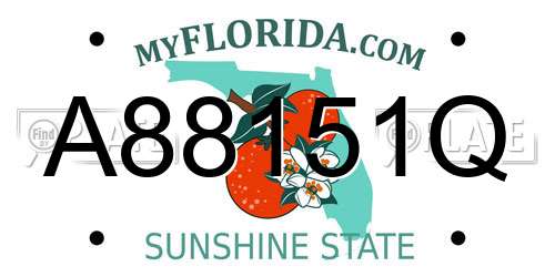 A88151Q Florida License Plate