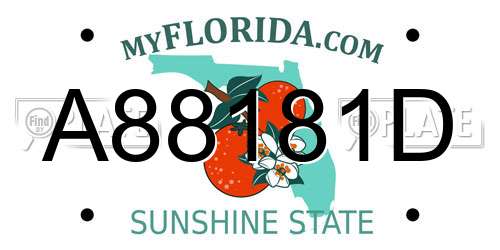 A88181D Florida License Plate