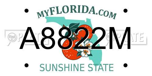 A8822M Florida License Plate