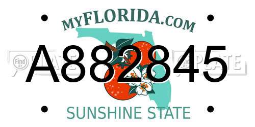 A882845 Florida License Plate