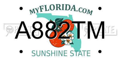 A882TM Florida License Plate