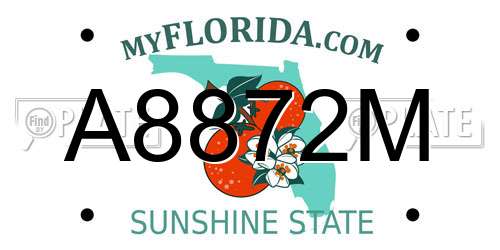 A8872M Florida License Plate