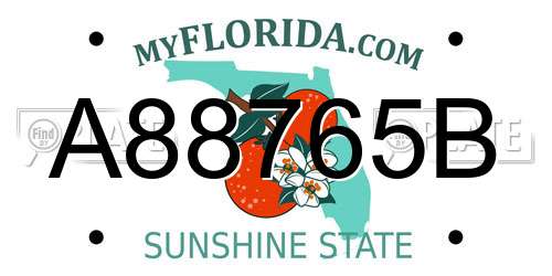 A88765B Florida License Plate