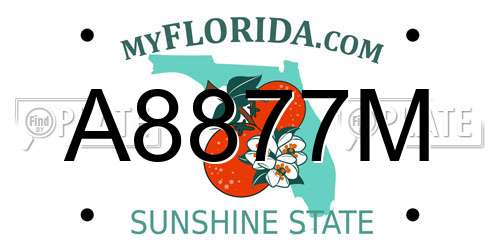 A8877M Florida License Plate