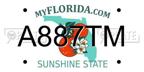 A887TM Florida License Plate