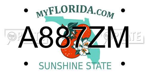 A887ZM Florida License Plate
