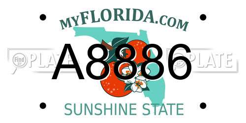 A8886 Florida License Plate