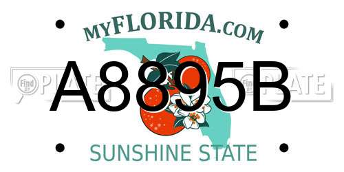 A8895B Florida License Plate