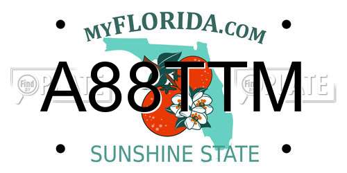A88TTM Florida License Plate