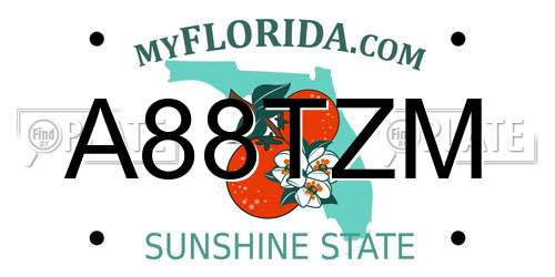 A88TZM Florida License Plate