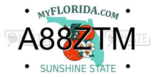 A88ZTM Florida License Plate