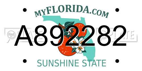 A892282 Florida License Plate