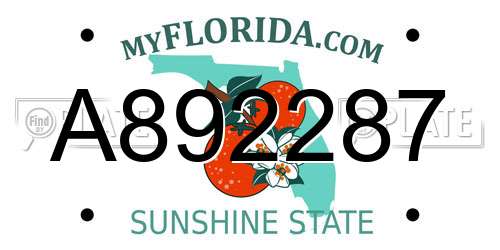 A892287 Florida License Plate