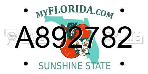 A892782 Florida License Plate