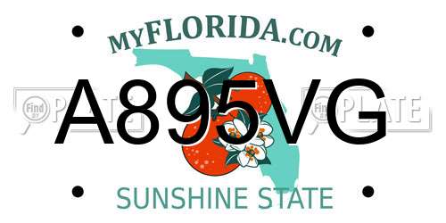 A895VG Florida License Plate