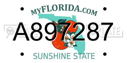 A897287 Florida License Plate