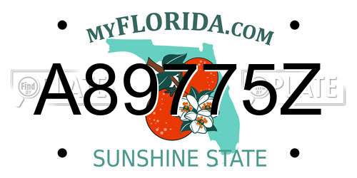 A89775Z Florida License Plate