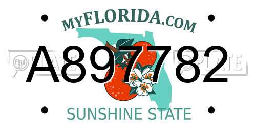 A897782 Florida License Plate