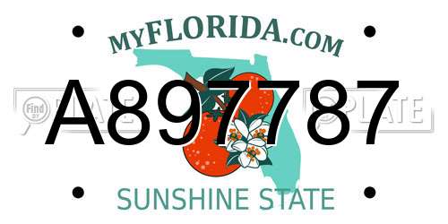 A897787 Florida License Plate