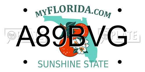 A89BVG Florida License Plate