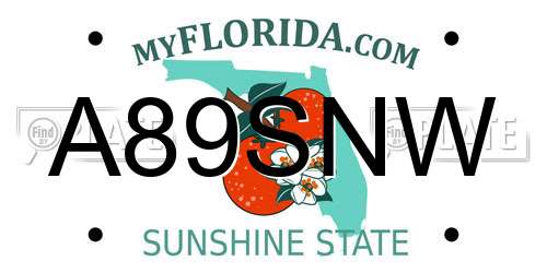 A89SNW Florida License Plate