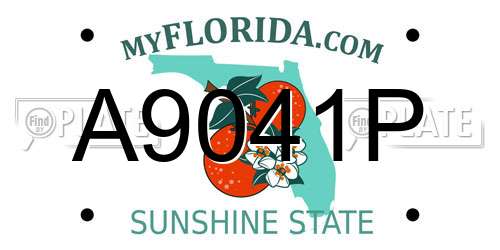 A9041P Florida License Plate