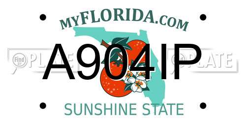 A904IP Florida License Plate