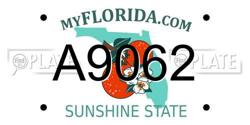 A9062 Florida License Plate