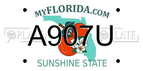 A907U Florida License Plate