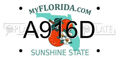 A916D Florida License Plate
