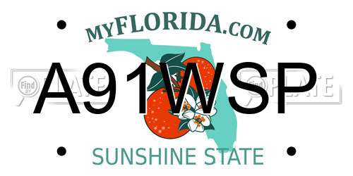 A91WSP Florida License Plate