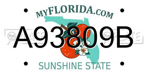 A93809B Florida License Plate
