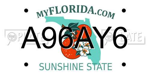 A96AY6 Florida License Plate