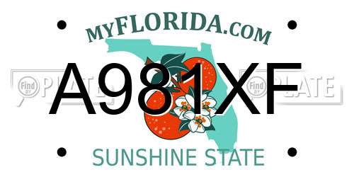 A981XF Florida License Plate