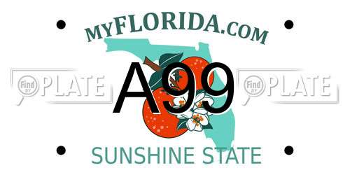 A99 Florida License Plate