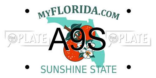 A9S Florida License Plate